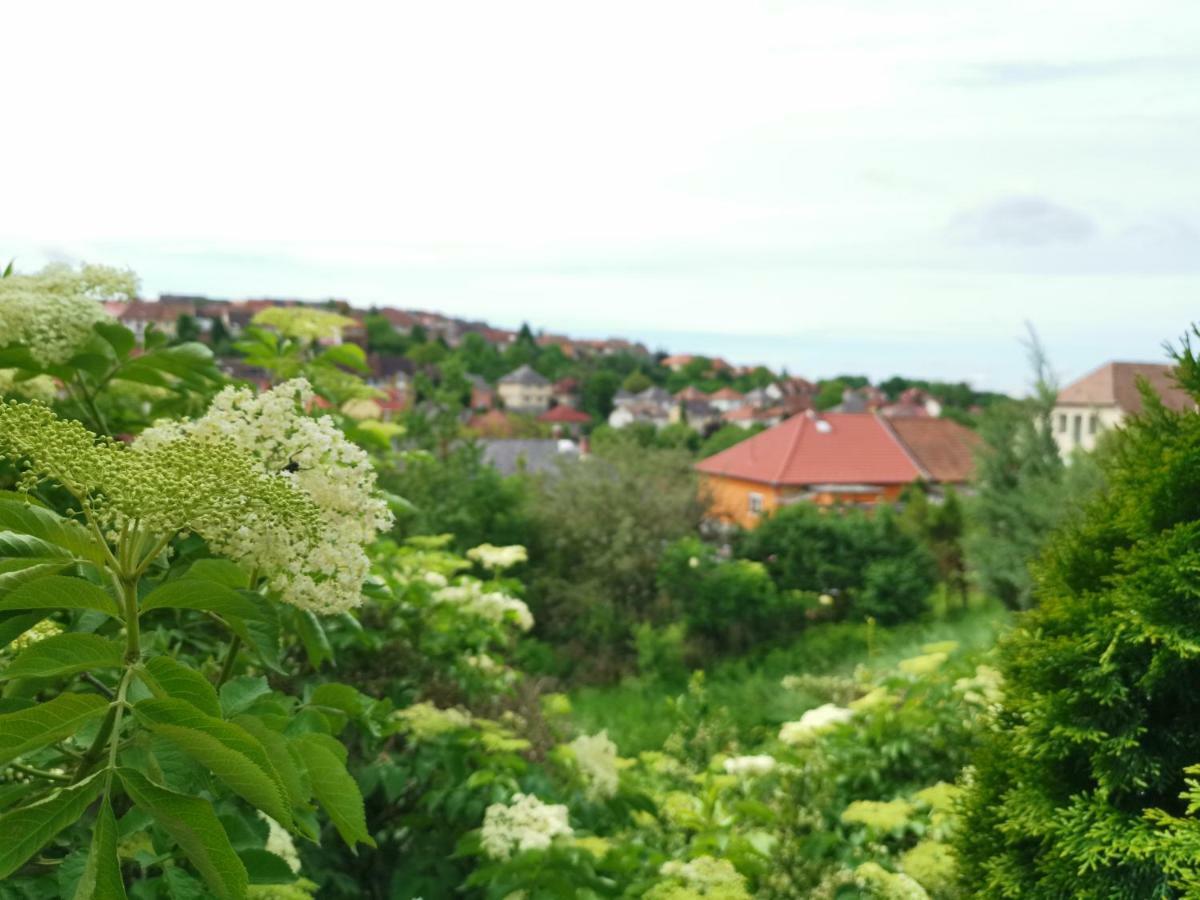 Hella Vendégház Eger Esterno foto